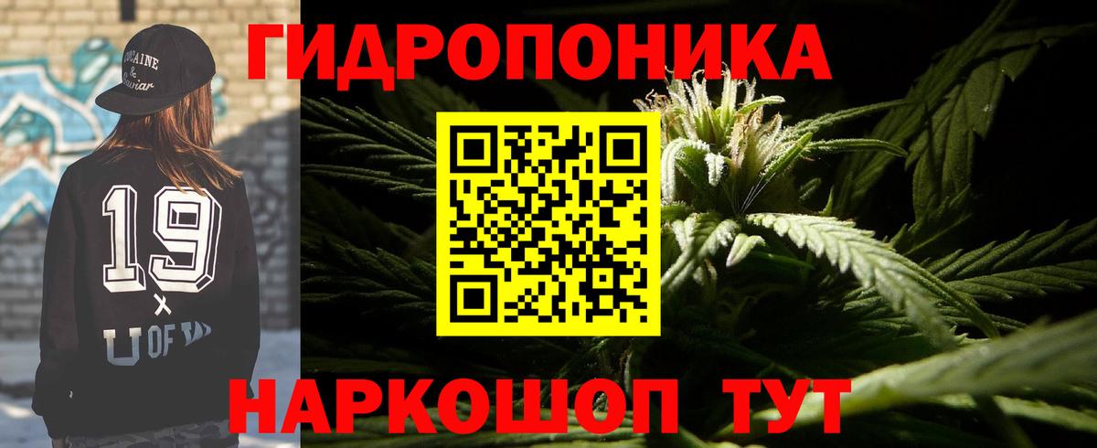 Конопля планчик  Вход с VPN  Сертолово  Бошки марихуана White Widow 